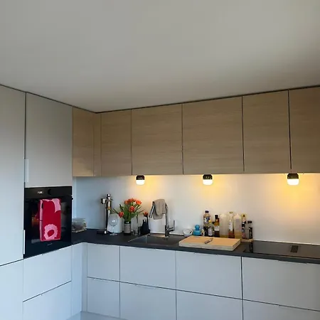 With Stunning Mountain, Sea And Views Of Appartement Henningsvær